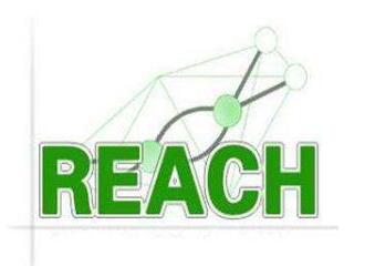 REACH±׼/SVHC嵥181