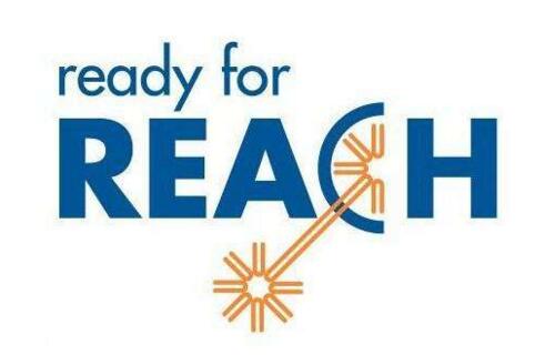 reach֤