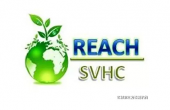 reachǶ2019REACH