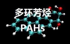 PAHS֤ʲô˼?