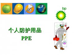 ˷PPE·ҪЩ